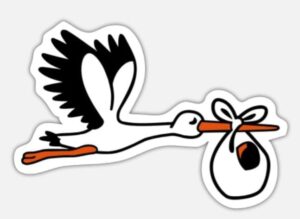 storch