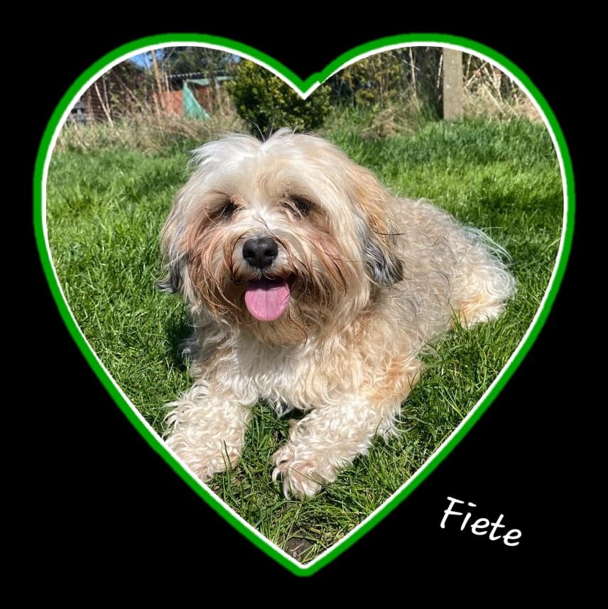 Fiete