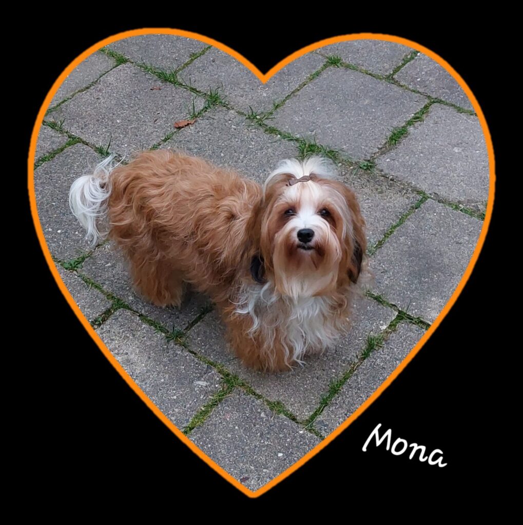 mona