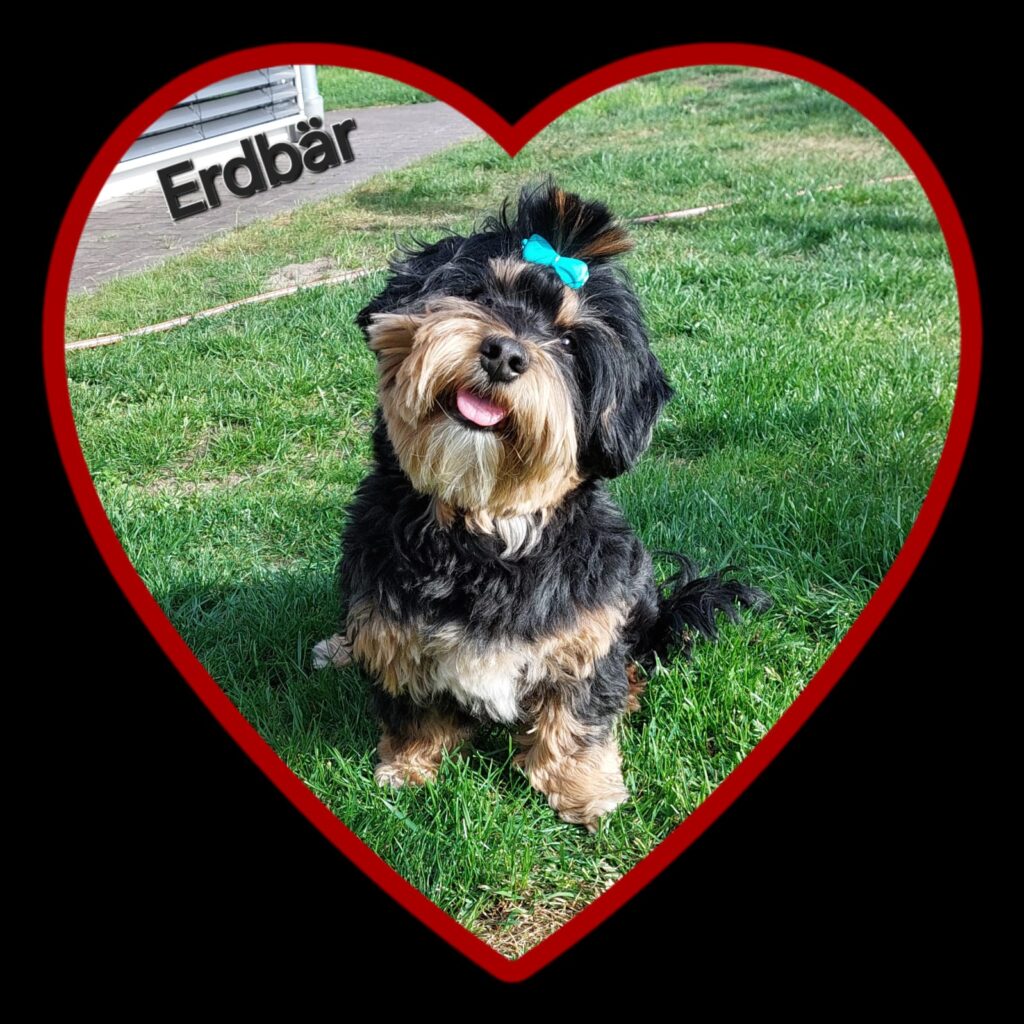 erdbeer