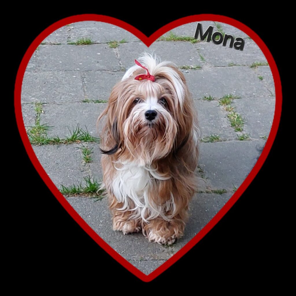 mona